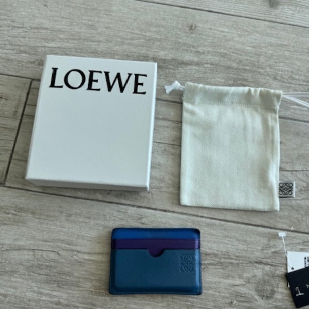 LOEWE COLORFUL RAINBOW WALLET CARD CASE